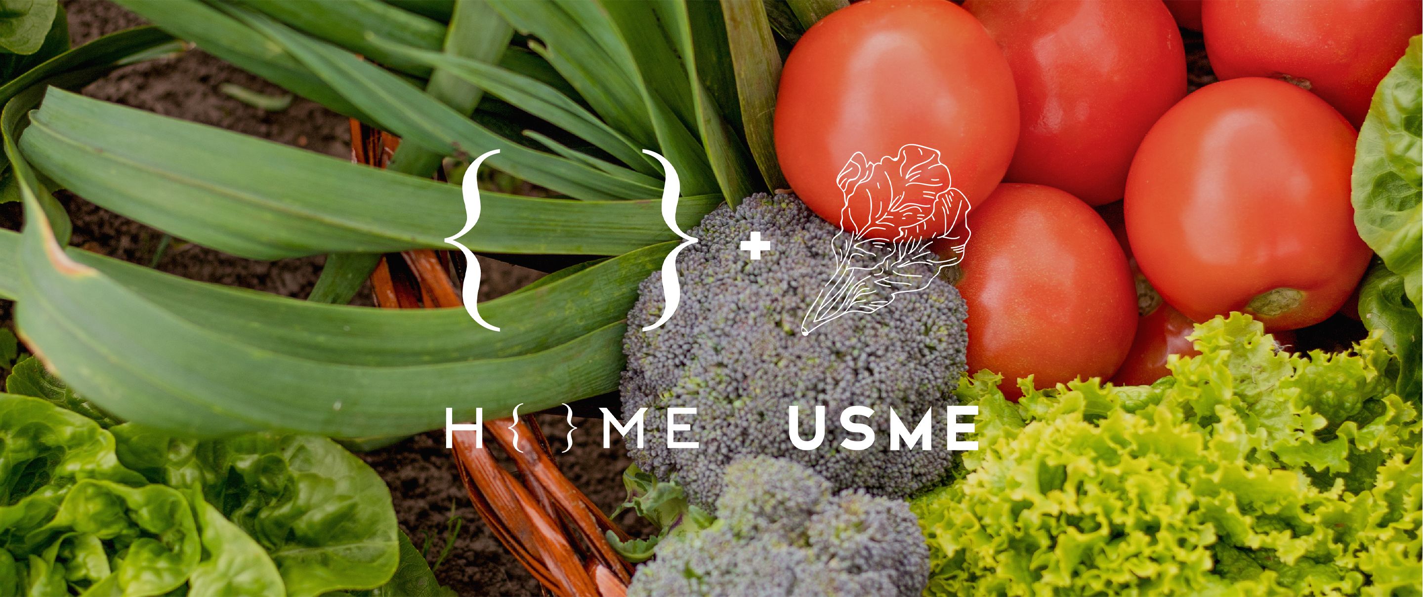 Home X Usme